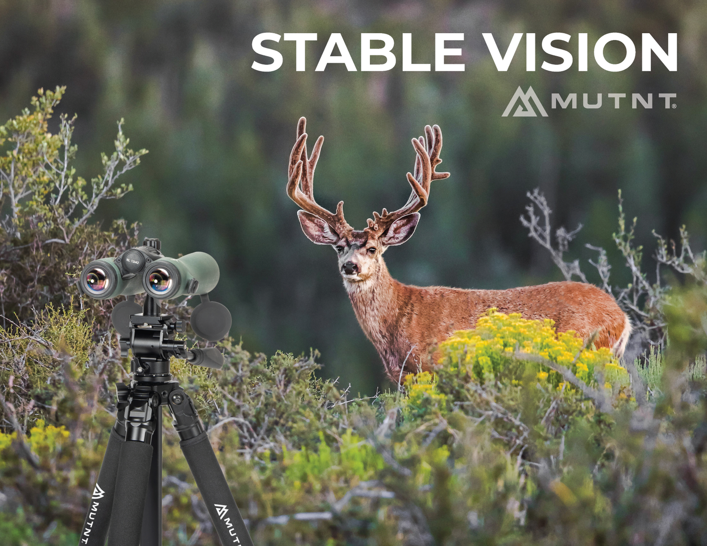 CF-69 Carbon Fiber Tripod
